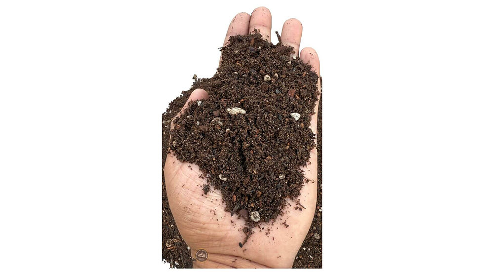 North Bay Estate Planter Mix texture – rich organic planter soil with compost, pumice and coco coir