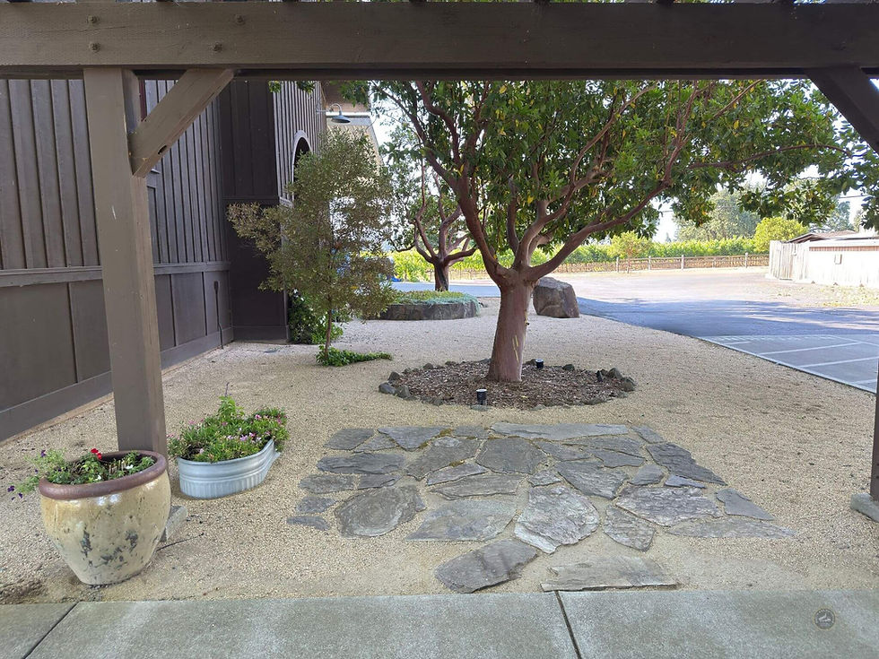 Thumbnail: winery courtyard landscaped in Sonoma county using 3/8-inch French Country Farm gravel