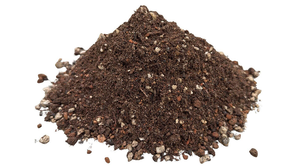 Premium organic raised bed soil blend – North Bay Estate Planter Mix bulk delivery Marin and Bay Area