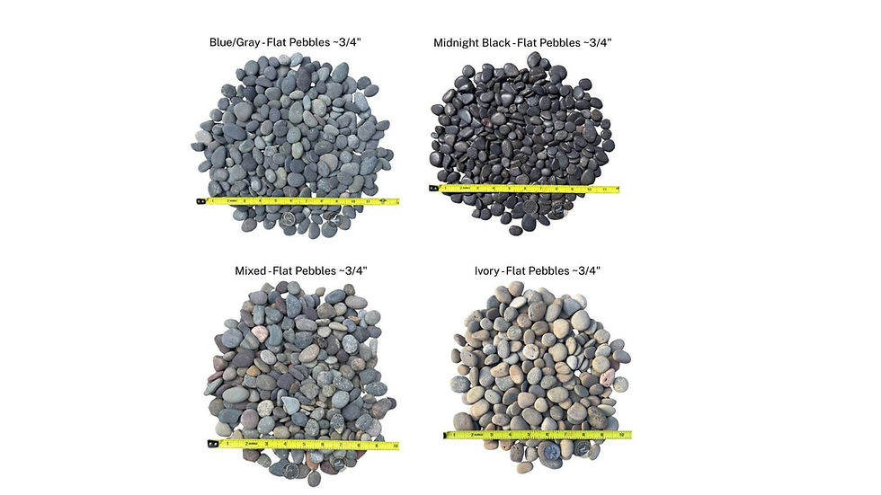 Blue Gray Pacific Flat Pebbles 3/4 inch size with tape measure showing scale – smooth flat landscaping rock for modern garden
