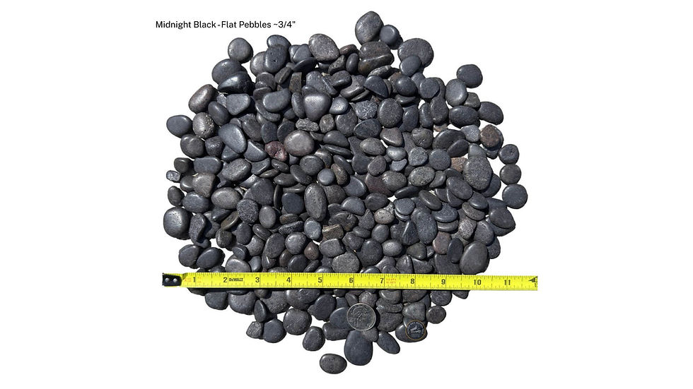 Thumbnail: Midnight Black Pacific Flat Pebbles 3/4 inch smooth Mexican style pebbles with tape measure for scale