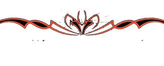 1637816598988__02 (1).png