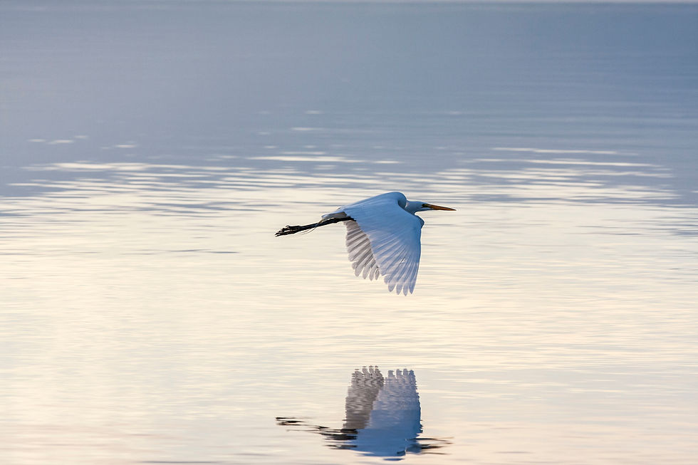 Reflecting