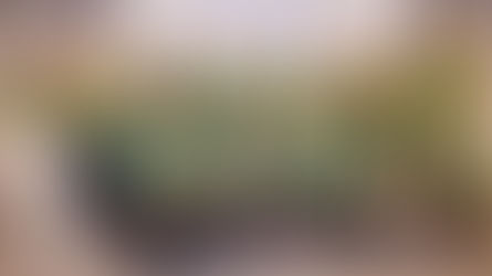 Dra. Laura Vianna completa dez mandatos como Diretora Jurídica do CVG RS