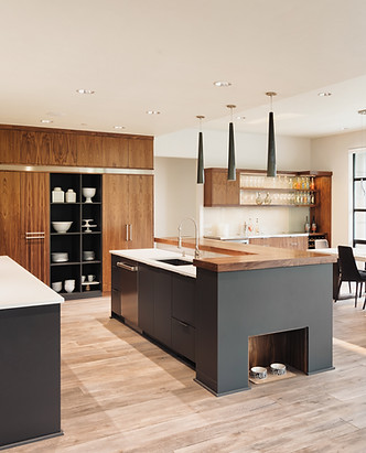 Luxurious Kitchen