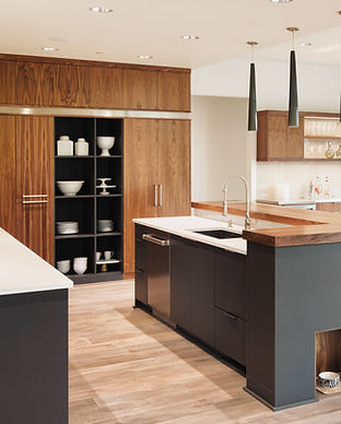 Luxurious Kitchen