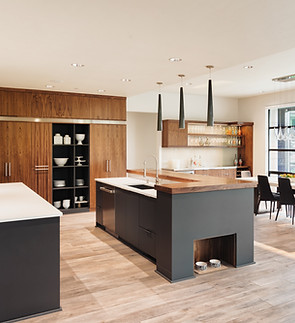 Luxurious Kitchen