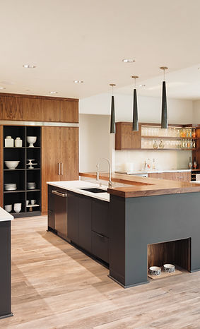 Luxurious Kitchen