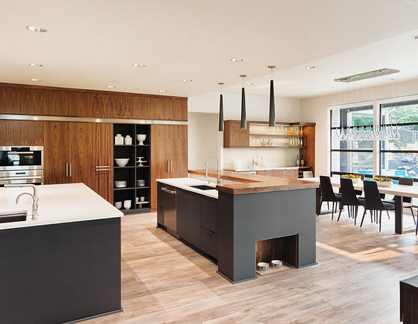 Luxurious Kitchen