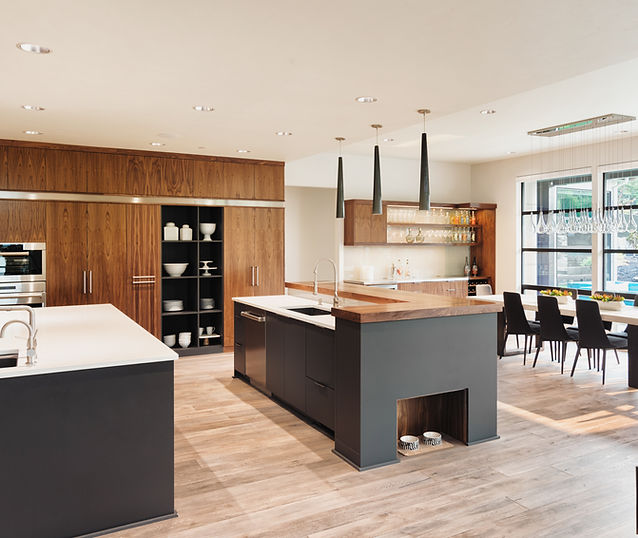 Luxurious Kitchen