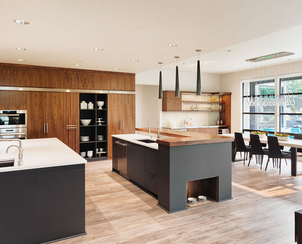 Luxurious Kitchen