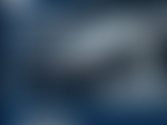 Why Should You Trust a Car Detailing Expert in Berwick for Complete Vehicle Care?