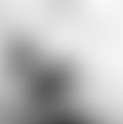 Document Services Available