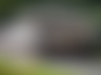 Leopard 2 Battle Tanks Available