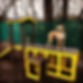 parkour 14.jpg