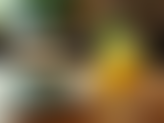 The Leaf Cafe: Wellness Redefined