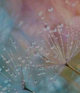 9658_freepik_edited.jpg