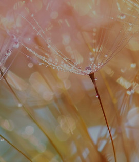9658_freepik_edited.jpg