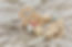 F55EF954-ECA6-4932-9BA6-E7D5C3638506_1_201_a.jpeg