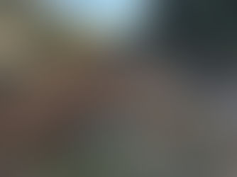 [매매] 5억, 서귀포시 강정동 토지 