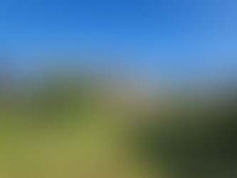 [매매] 조천읍 선흘리 넓은 대지와 마당이 있는 초등학교 가까운 번영로 인근 전원주택 입니다. 3억6000만원