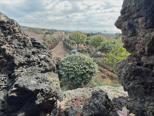 [매매] 관광용 테마파크 & 카페 조성중인 개발가능성도 높은 대형토지 150억