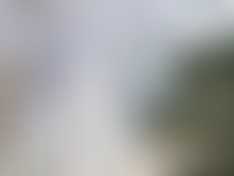 [임대] 노형 최상 인프라 도보권 가능한 남향 공원뷰 입니다.