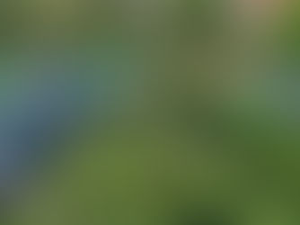 [매매] 중문 관광단지 인근 바다뷰와 한라산뷰 모두 갖춘 숙박업 최적입지      39억원