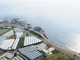 [매매] 서귀포시 강정 해안도로 접한 바다 조망과 한라산이 보이는 토지입니다.10억 5000만원