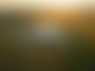 Unlock the Potential of Aerial Photogrammetry with Aerial Mapping Services