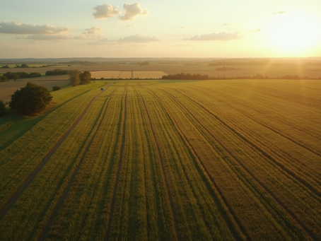 How to Harness Drone Imaging and NDVI Analysis for Enhanced Crop Management and Farming Efficiency