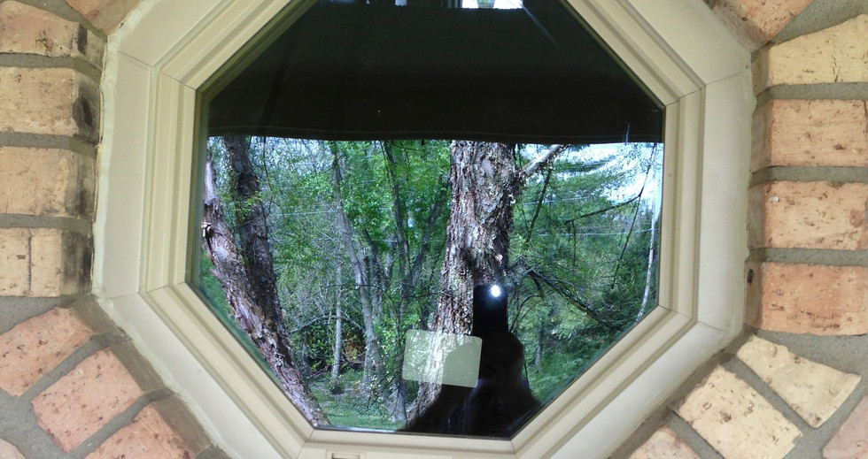 Carefree Greenwood 2019 Paul's Glass