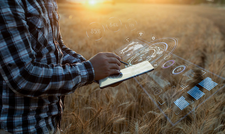 Farmer using digital tablet computer and modern interface icons with light shines sunset,