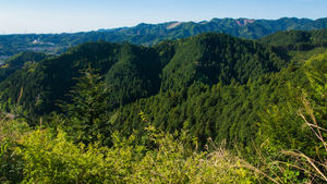 武蔵五日市周辺多摩百山ハイキング
