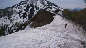 新緑と残雪の権現堂山