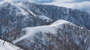 心残りの日白山