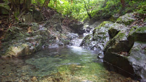 小下沢から堂所山・景信山周回