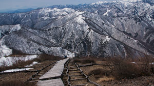 浅貝から大源太山・三国山周回