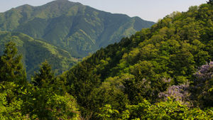 檜原村から御前山周回