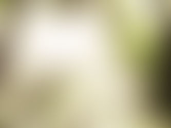 WILDERNESS CLUB begins....