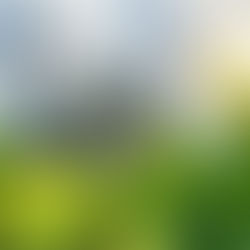 Sostenibilidad de las operaciones industriales