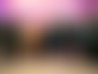 Volkswagen Camiones y Buses se expande en el norte