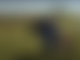 to mark World Habitat Day, we’ll be watching veins of the world by Byambasuren Davaa