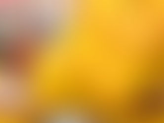 Importación, pieza fundamental para reactivación económica