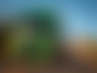 ANFAVEA: el liderazgo de ventas en 2021 es de los camiones Volkswagen