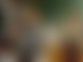 Spotlight: Kelly Reichardt on Certain Women