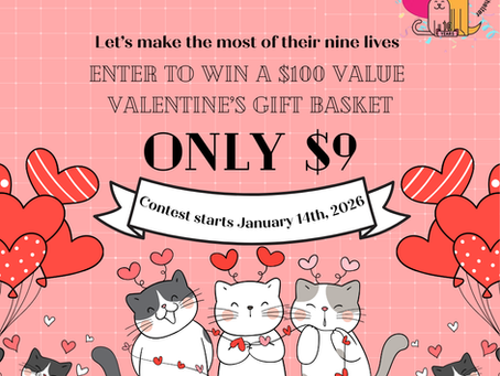 Nine Lives of Love Fundraiser