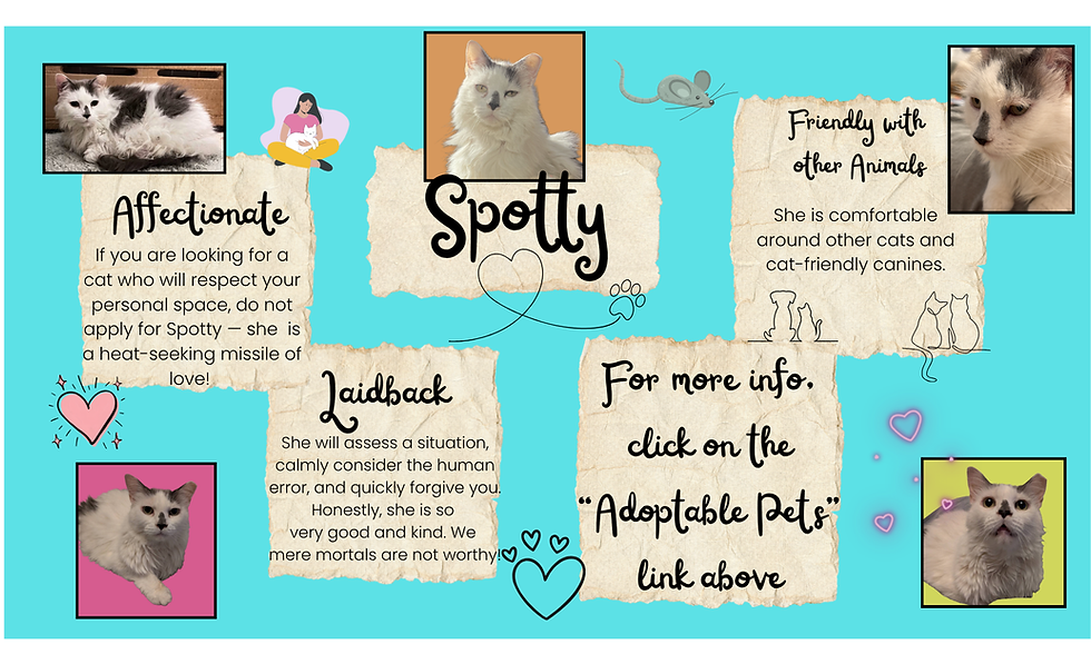 Spotty (1).png