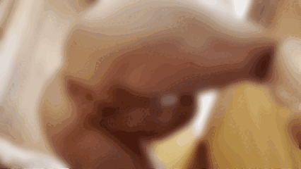 222222.gif