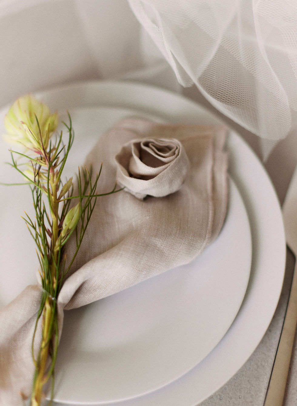 Thumbnail: Fiore Napkin Natural Close Up